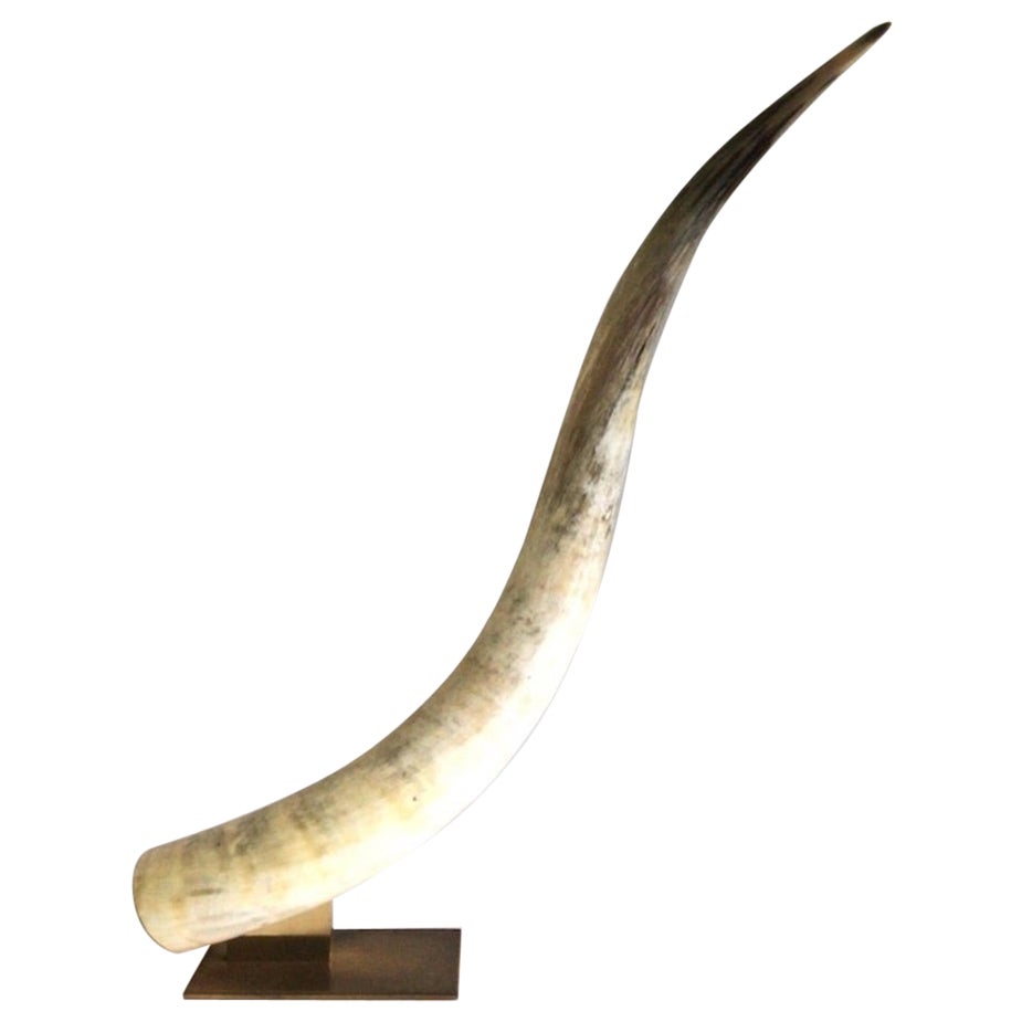 1960s Large Cattle Horn on Solid Brass Base For Sale