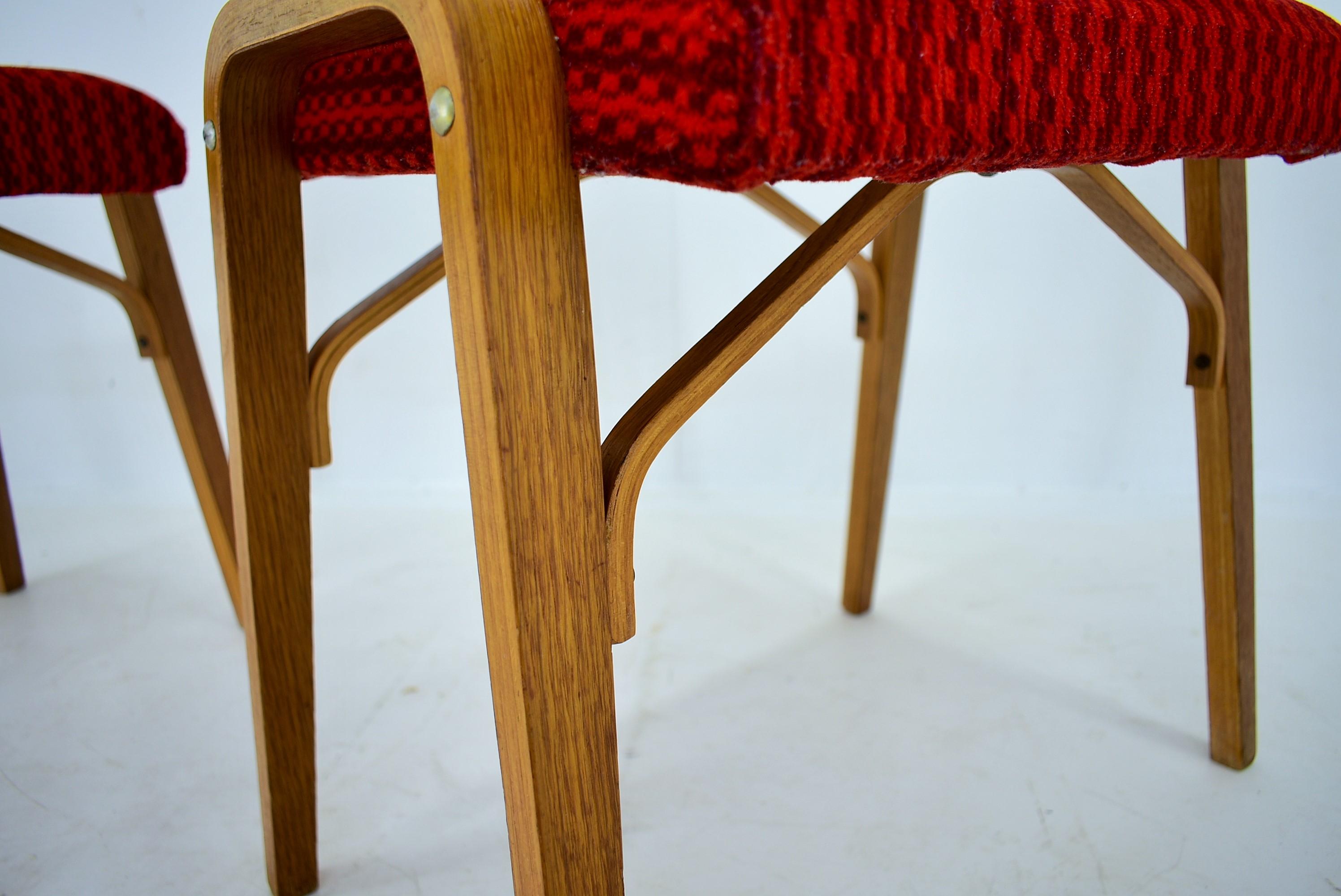 1960s Ludvik Volak Beech Stools by Drevopodnik Holesov, Czechoslovakia In Good Condition For Sale In Praha, CZ
