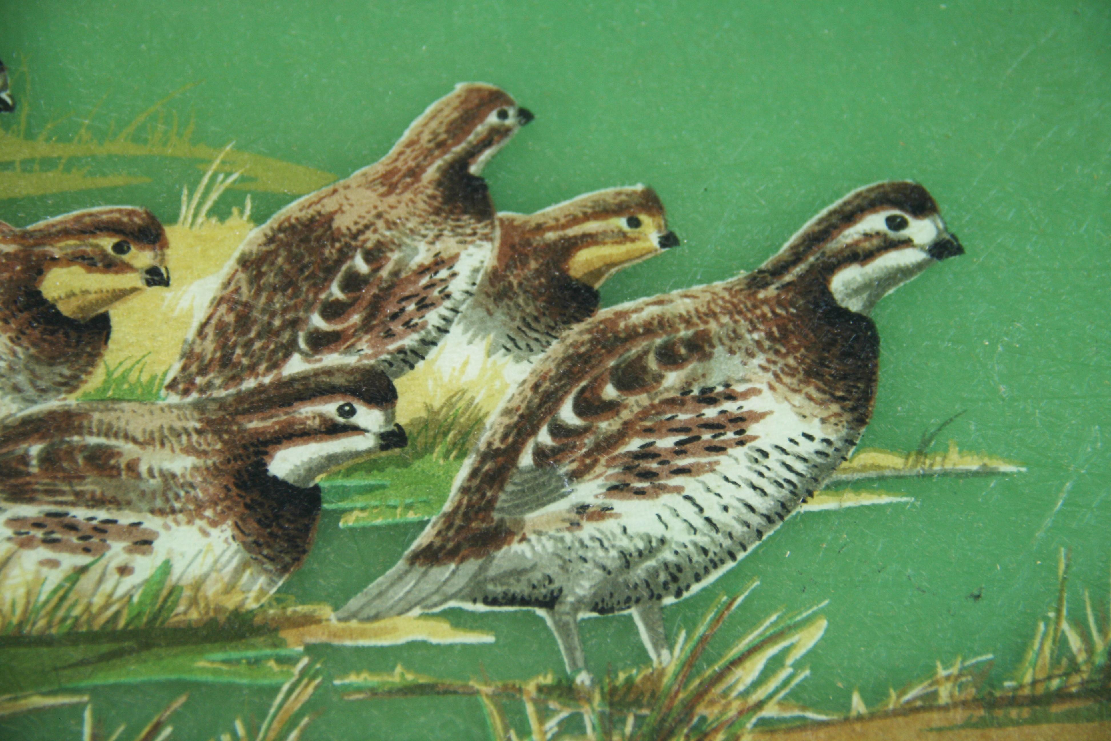 1960's Metal and Fiberglass Serving Tray with Quail Fowl Drawings 6
