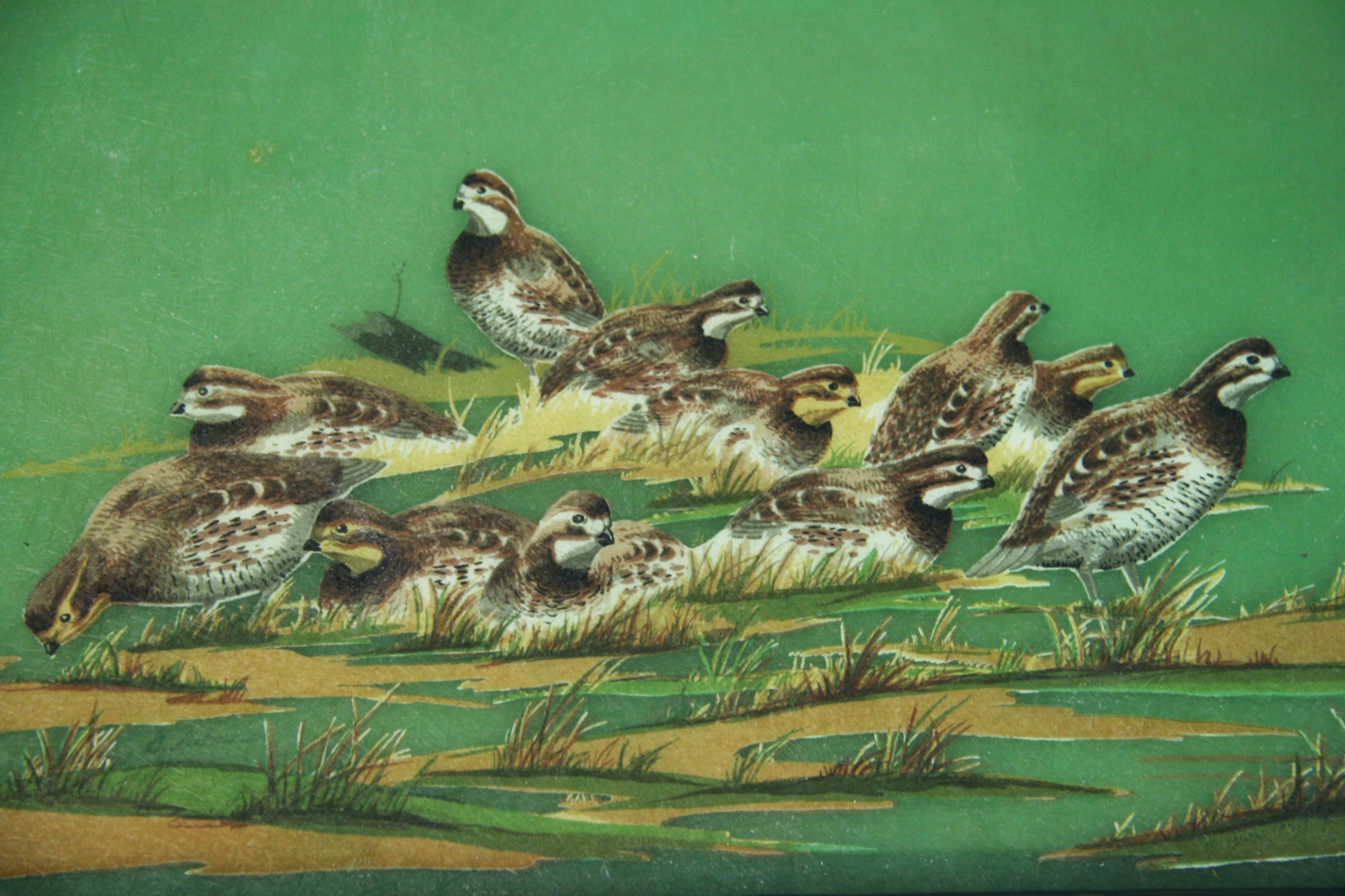 1960's Metal and Fiberglass Serving Tray with Quail Fowl Drawings In Good Condition In Douglas Manor, NY