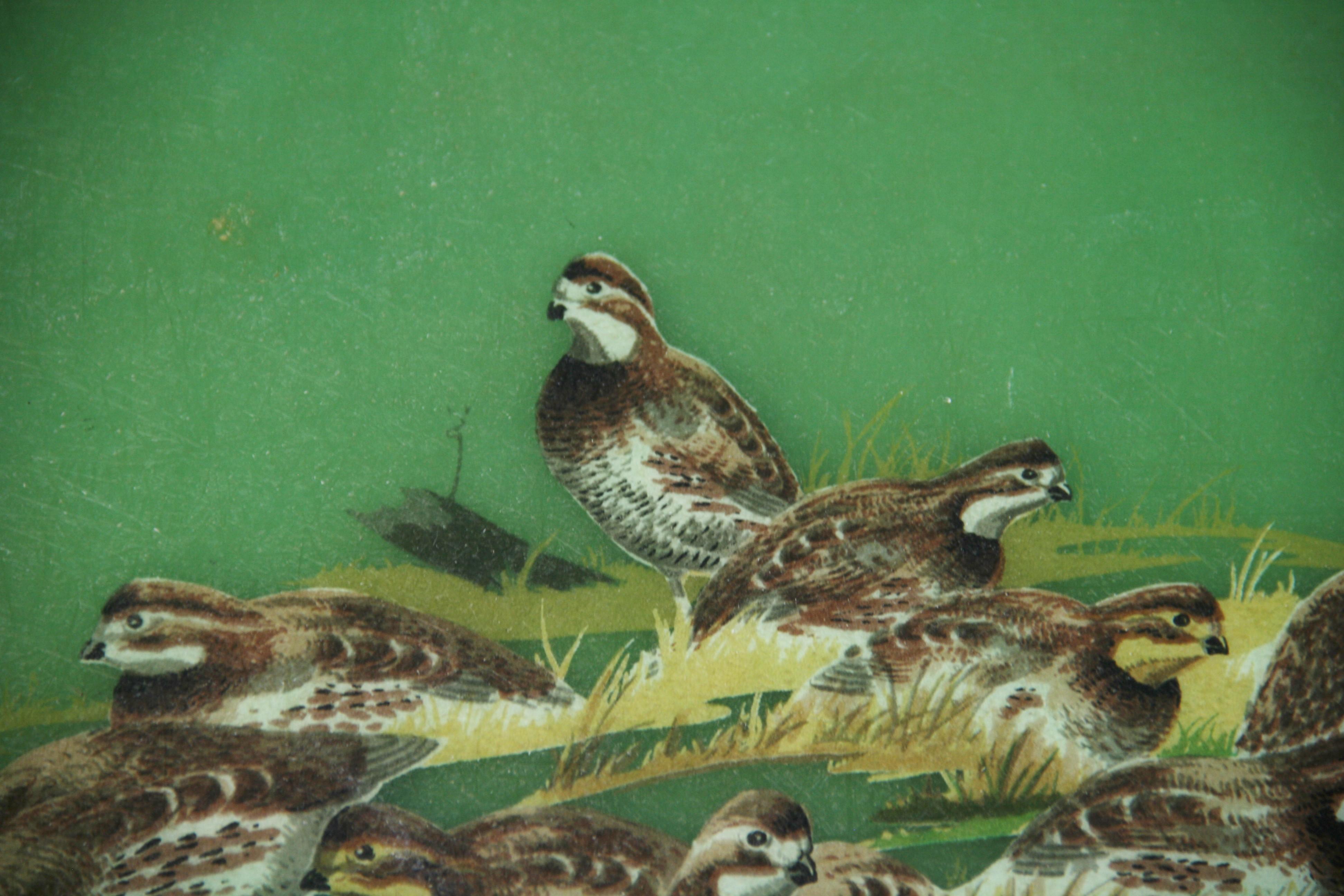 Mid-20th Century 1960's Metal and Fiberglass Serving Tray with Quail Fowl Drawings