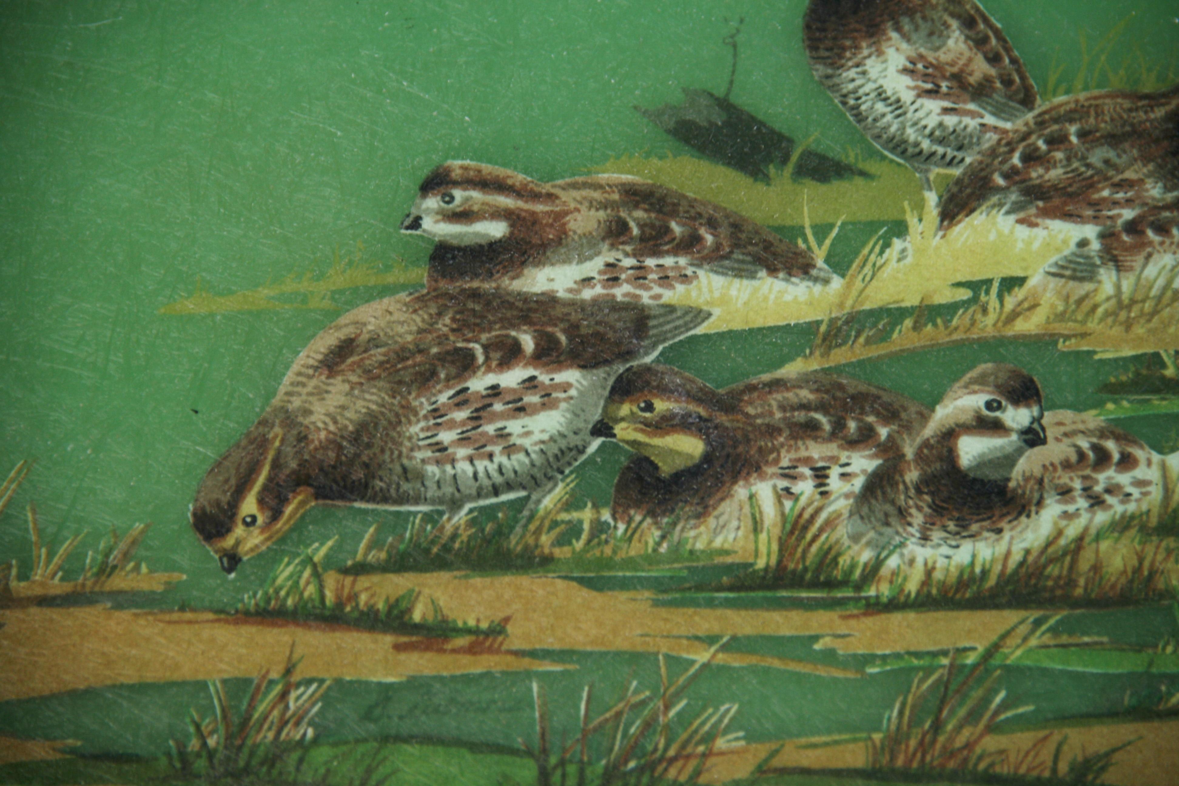 1960's Metal and Fiberglass Serving Tray with Quail Fowl Drawings 1