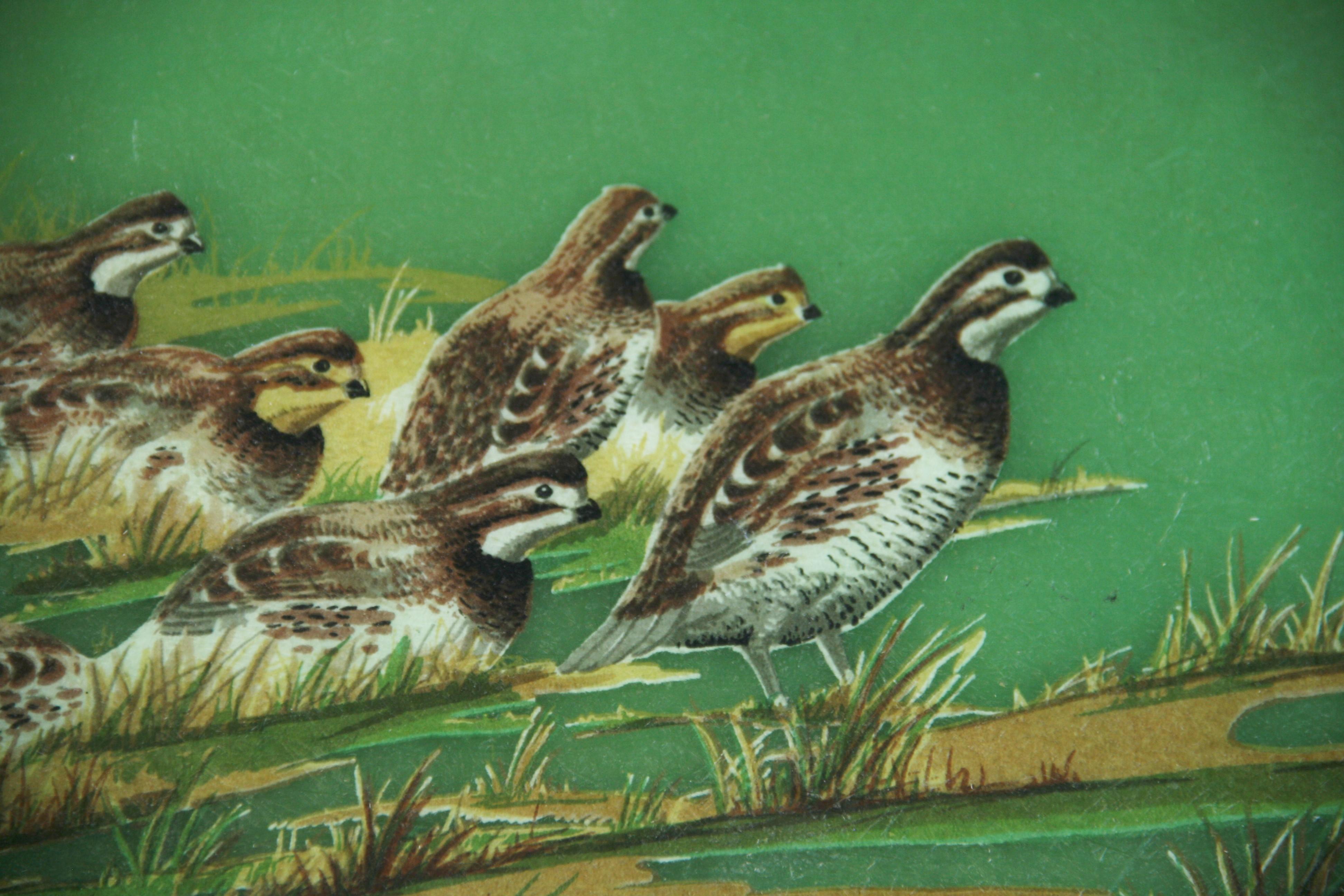 1960's Metal and Fiberglass Serving Tray with Quail Fowl Drawings 2