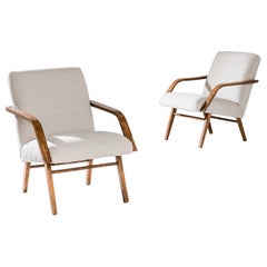 1960s Mid-Century Czech Armchairs, a Pair