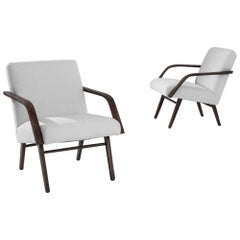 Vintage 1960s Mid-Century Czech Armchairs, A Pair