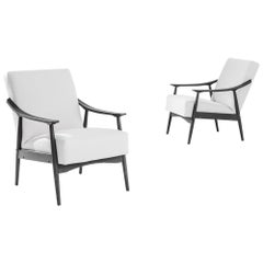 Vintage 1960s Mid-Century Czech Armchairs, a Pair
