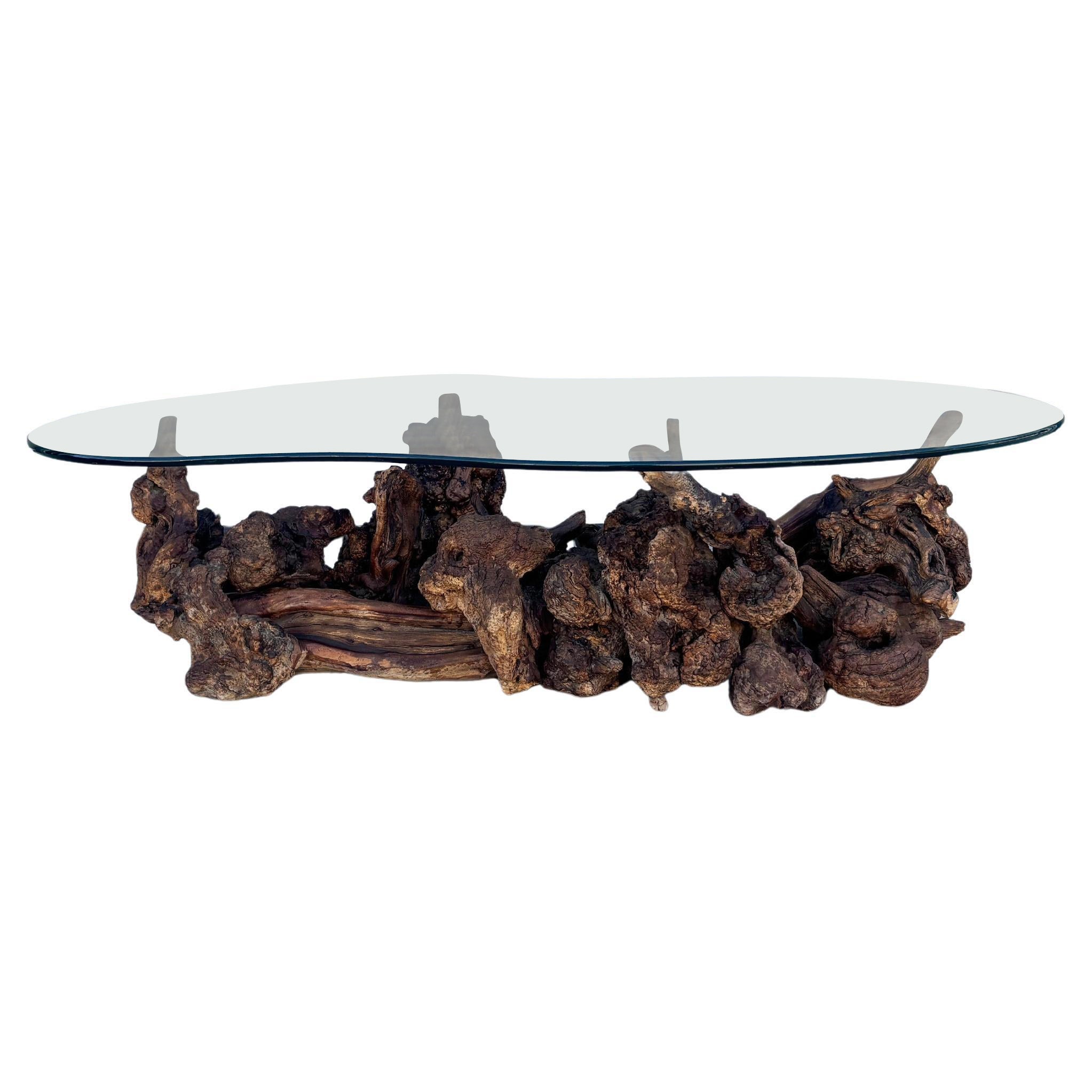 1960s Mid-Century Live-Edge Burl wood & Freeform Glass Coffee Table