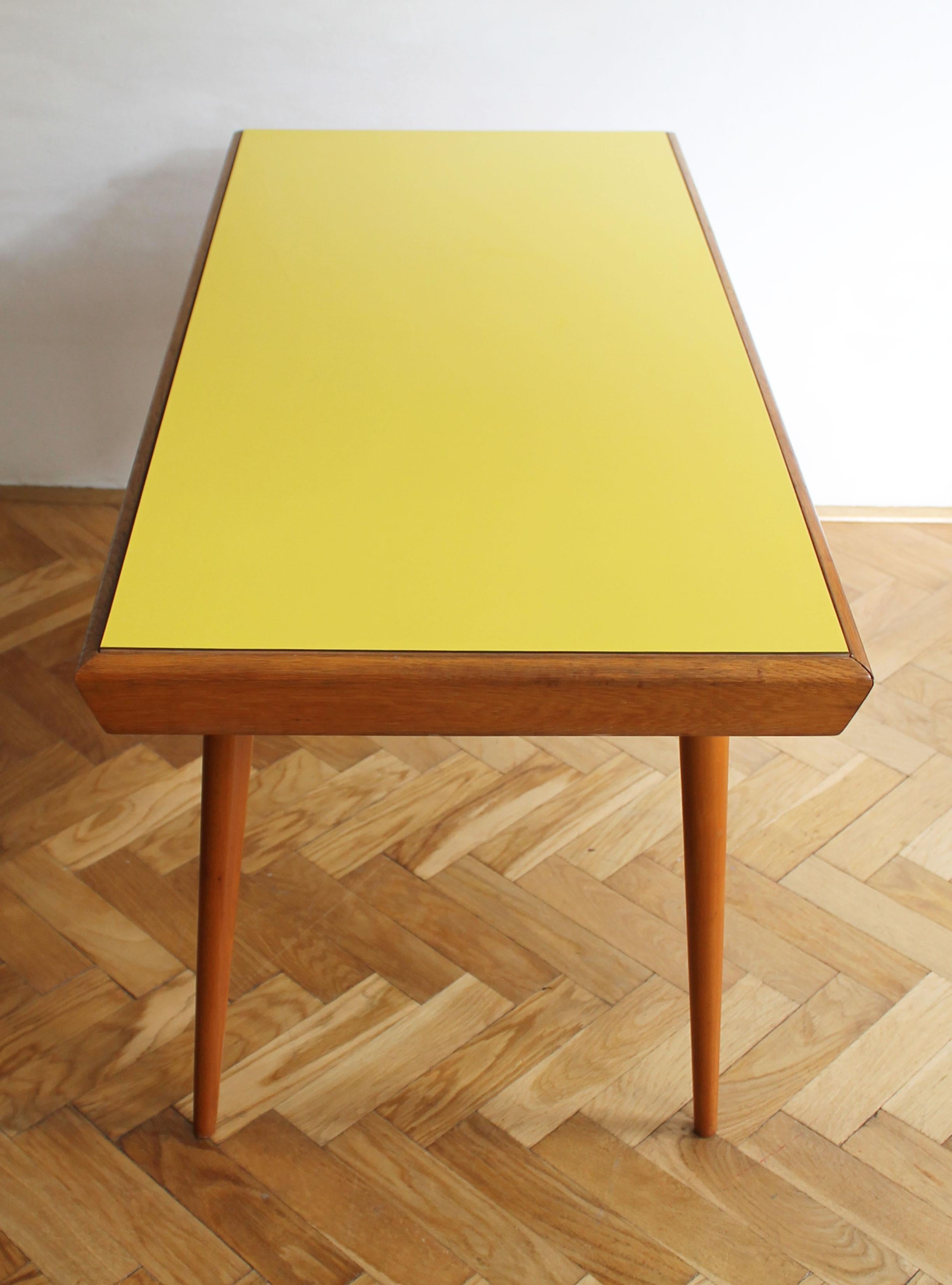 Czech 1960's Mid Century Modern Coffee table by Jiri Jiroutek for Interier Praha For Sale