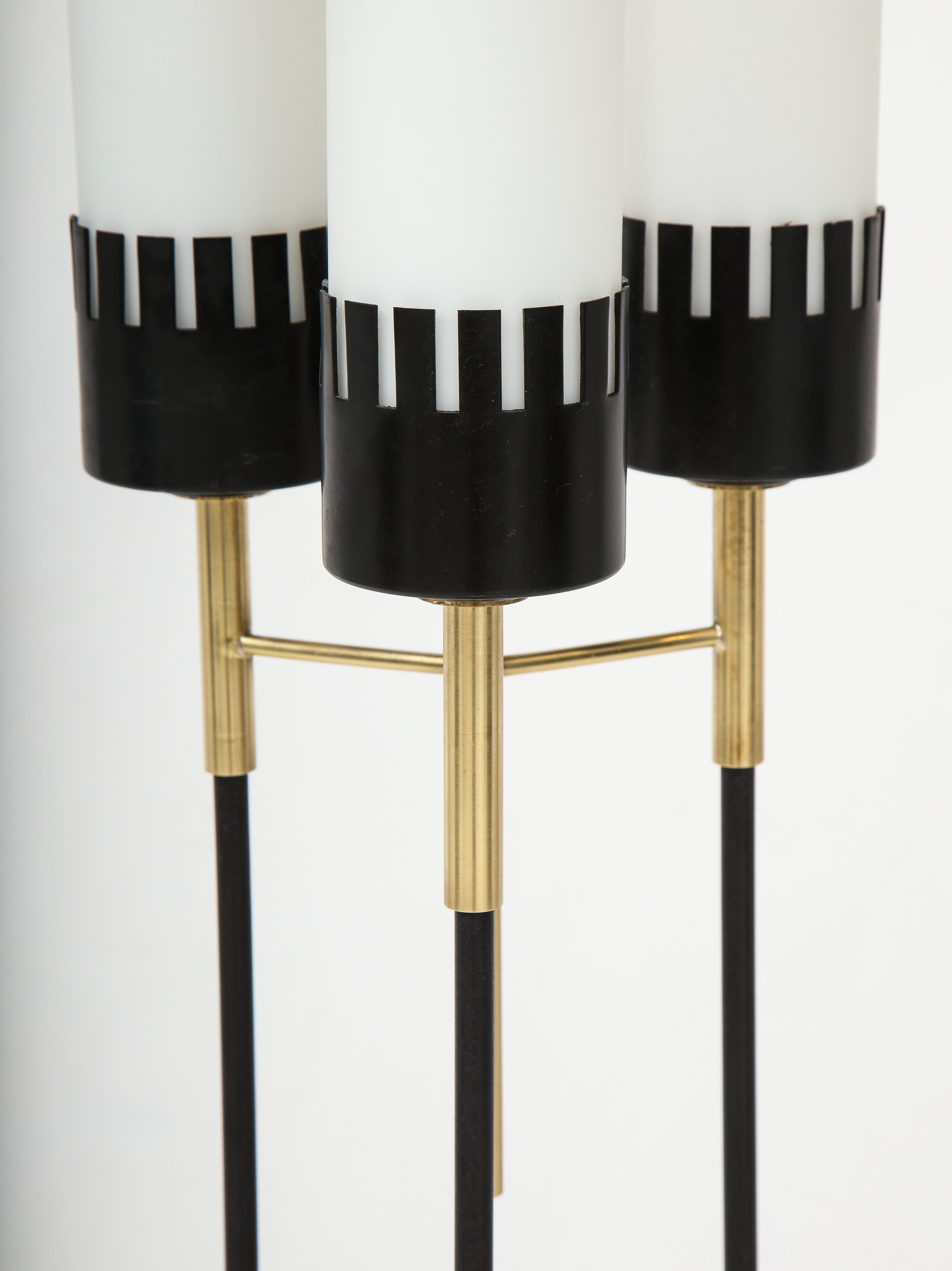 1960's Mid-Century Modern Floor Lamp By Stilnovo 4