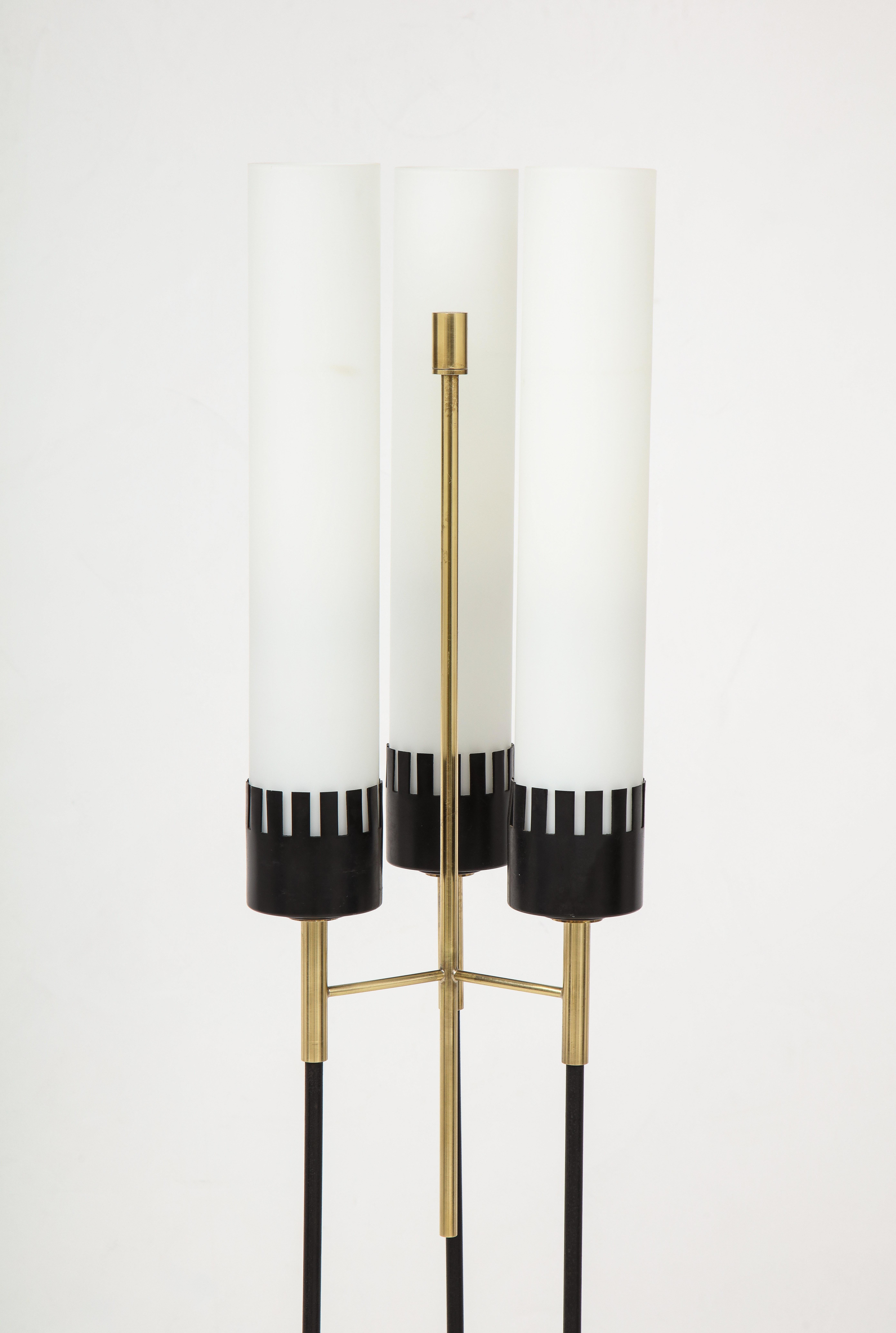 1960's Mid-Century Modern Floor Lamp By Stilnovo 7