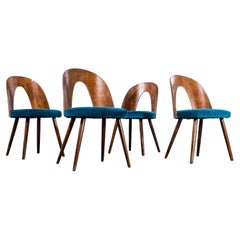 1960's Mid Oak Upholstered Dining Chair By Antonin Suman For Ton - Set Of Four