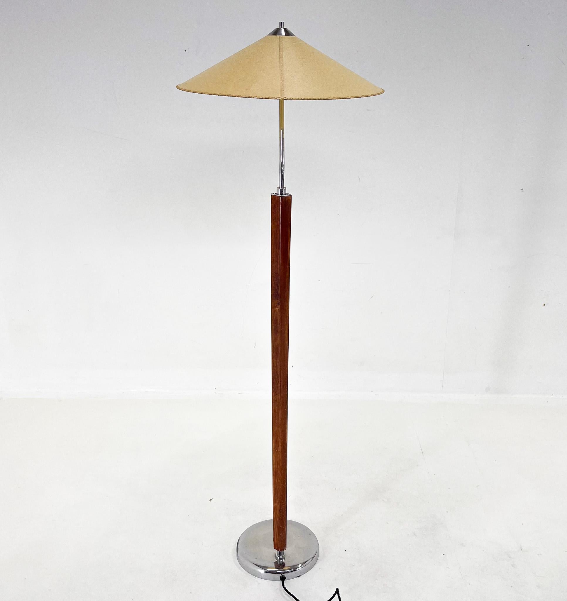 20th Century 1960s Midcentury Floor Lamp 