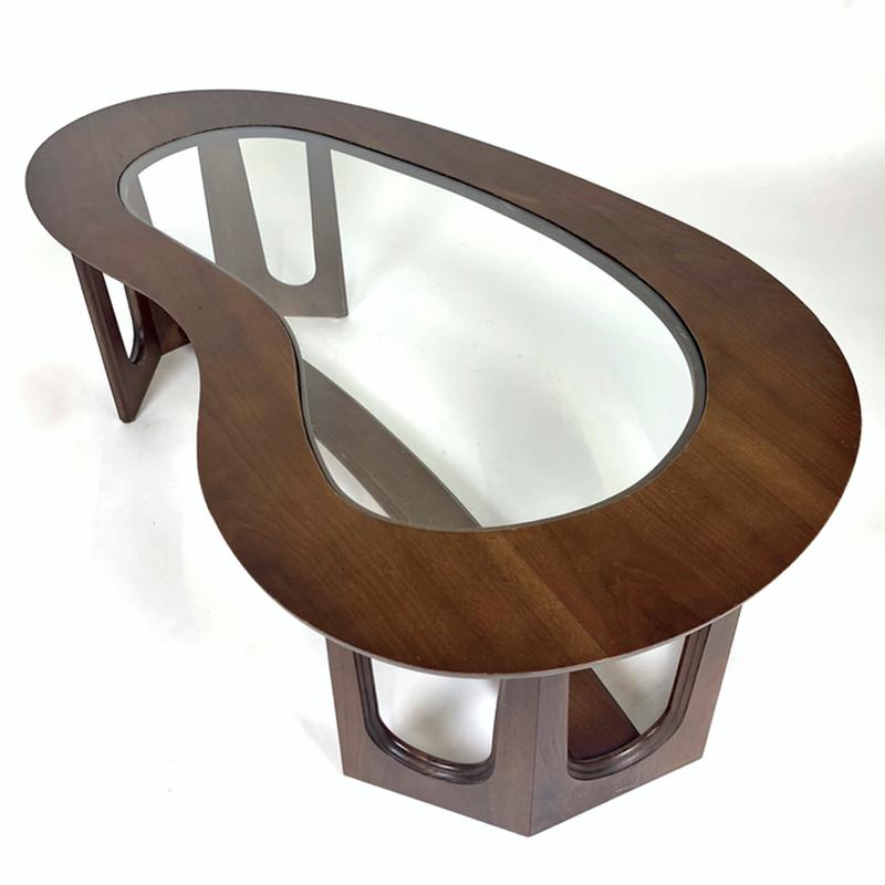 biomorphic coffee table