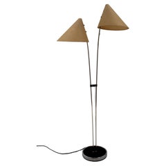 Vintage 1960s Midcentury Restored Floor Lamp, Czechoslovakia