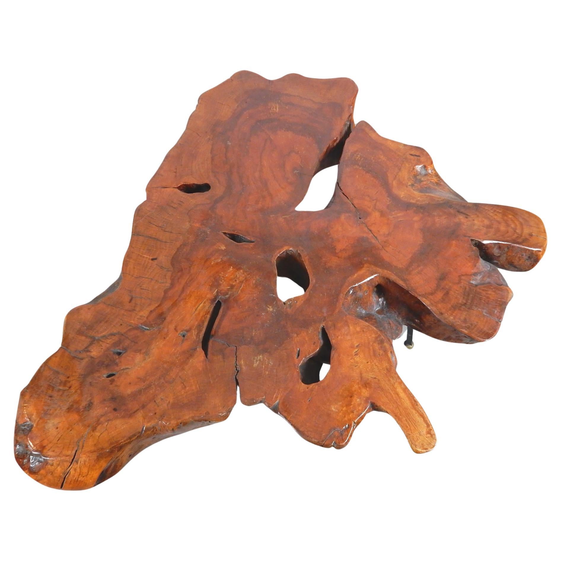 Mexican 1960s Natural Sabino Burlwood Coffee Table Wabi Sabi