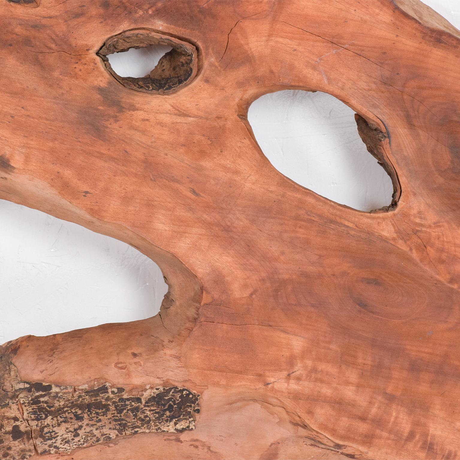 Américain 1960 Raw Edges Sculptural Slab Walnut Wood  en vente