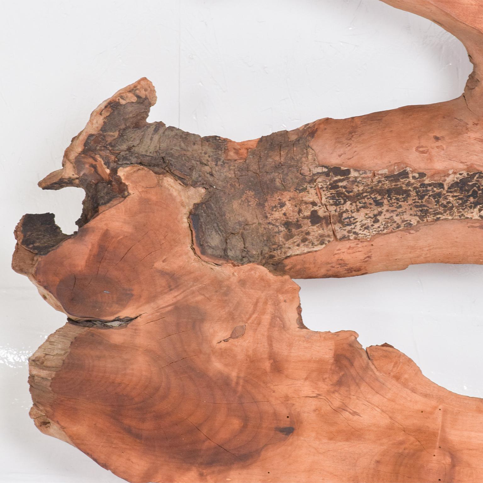 1960s Raw Edge Sculptural Slab Walnut Wood In Fair Condition For Sale In Chula Vista, CA