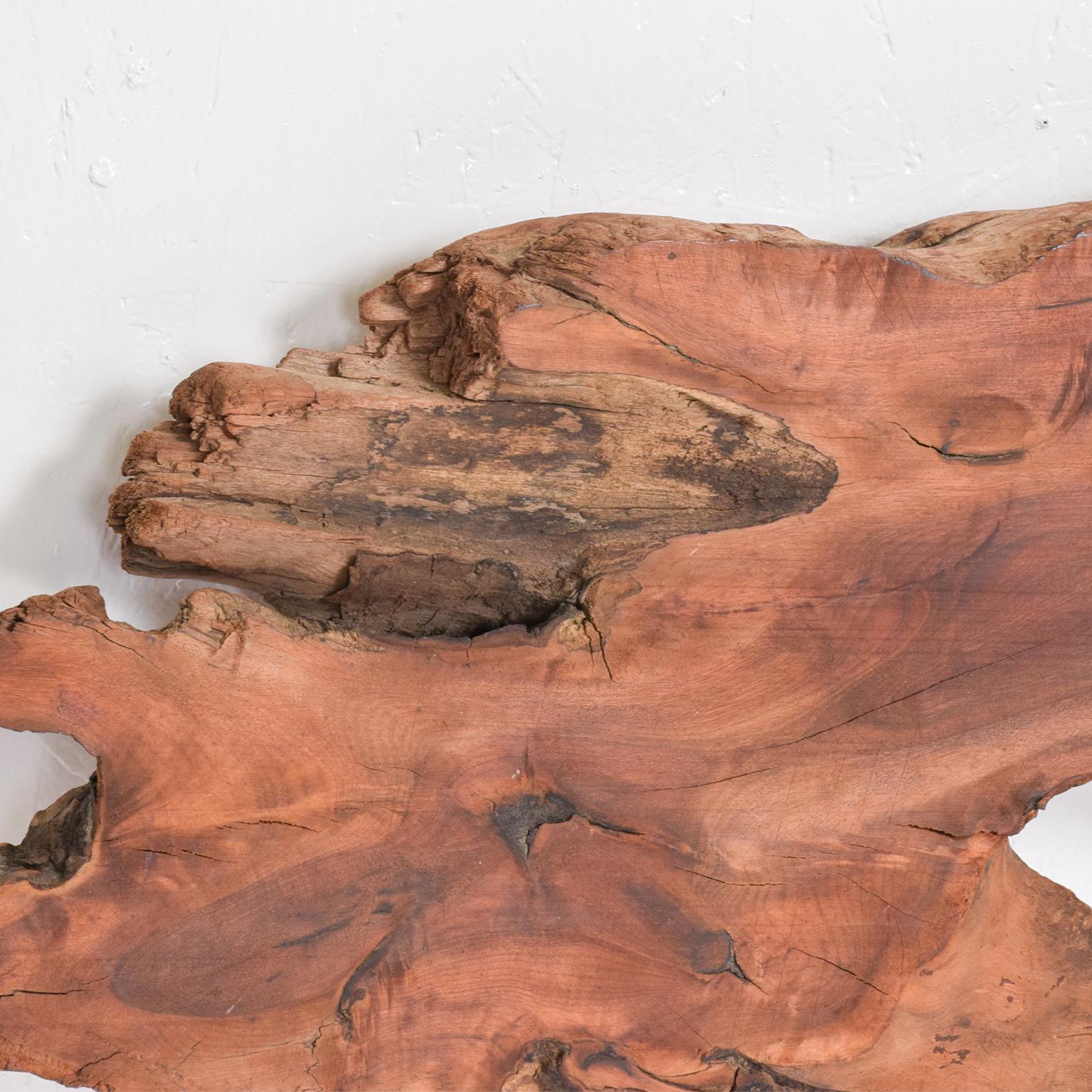 1960s Raw Edge Sculptural Slab Walnut Wood  For Sale 3