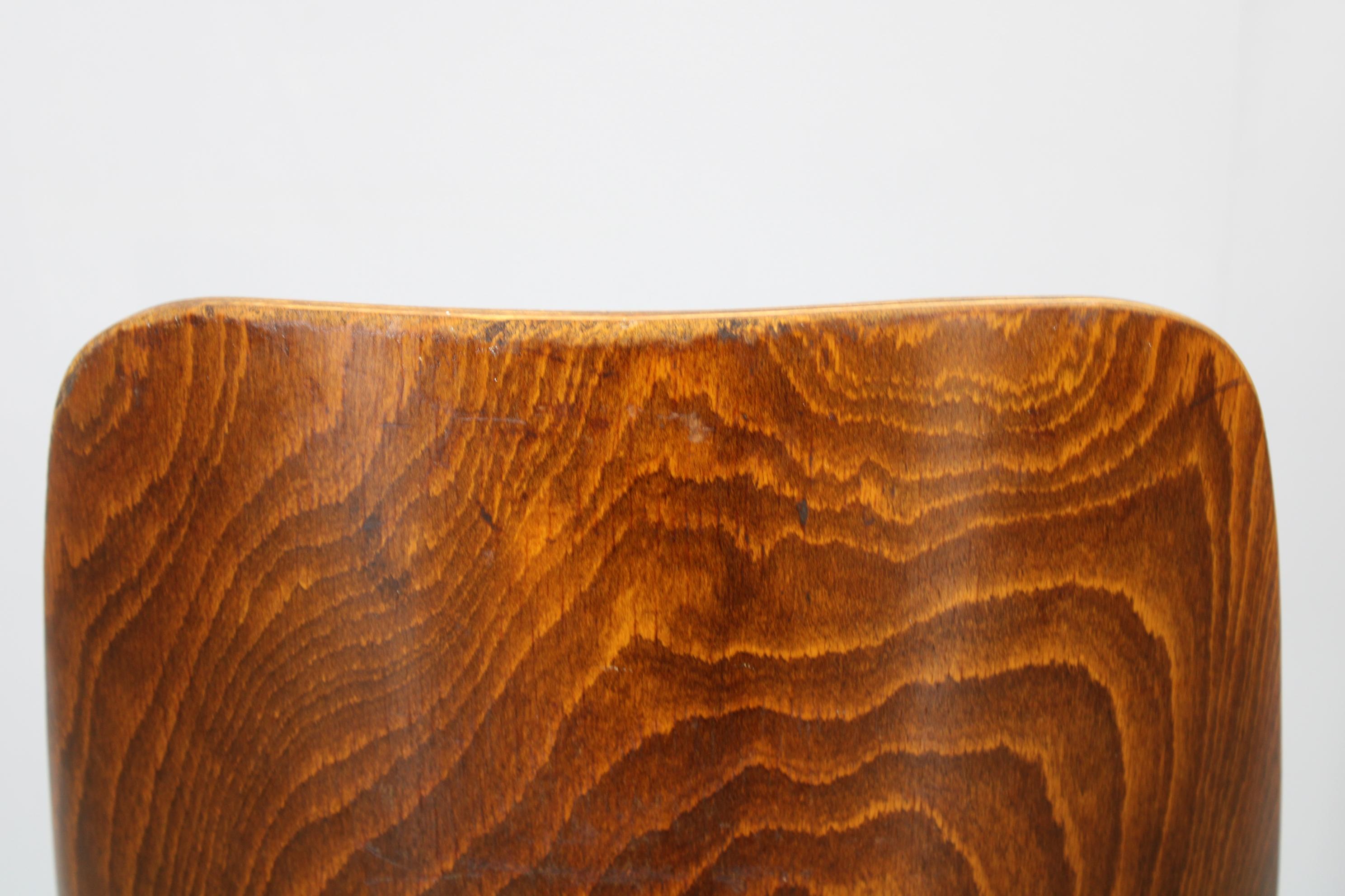1960s Oswald Haerdtl Chair by TON Czechoslovakia For Sale 3