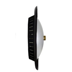 1960s Pair of Ceiling Lights or Sconces, Teck, Perspex, Brass, Italy