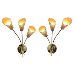Retro 1960's Pair of French Sconces Attributed to Mathieu Matégot