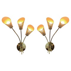 1960's Pair of French Sconces Attributed to Mathieu Matégot