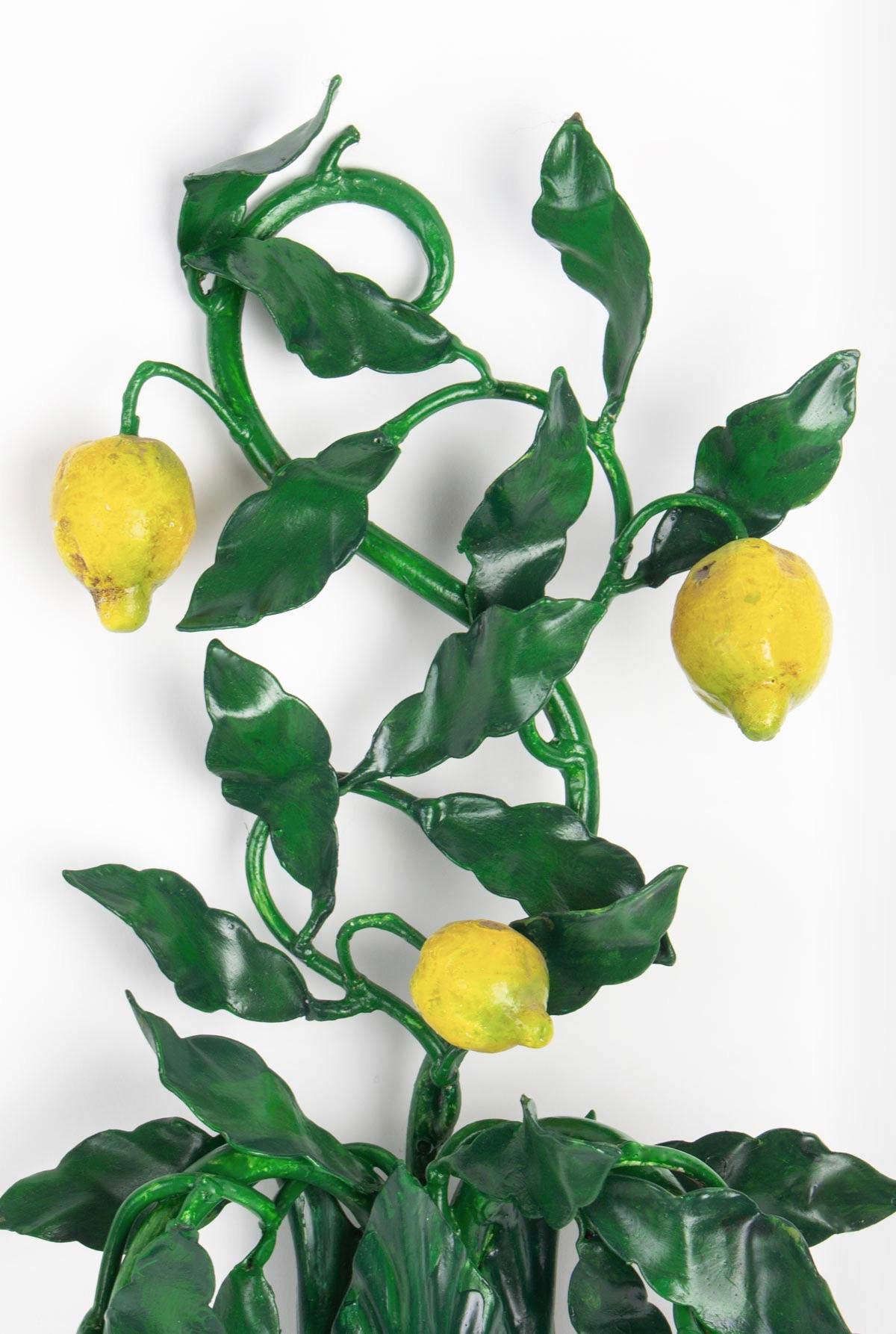 1960s Pair of Maison Honore, Lemon Tree Sconces In Good Condition In Saint-Ouen, FR