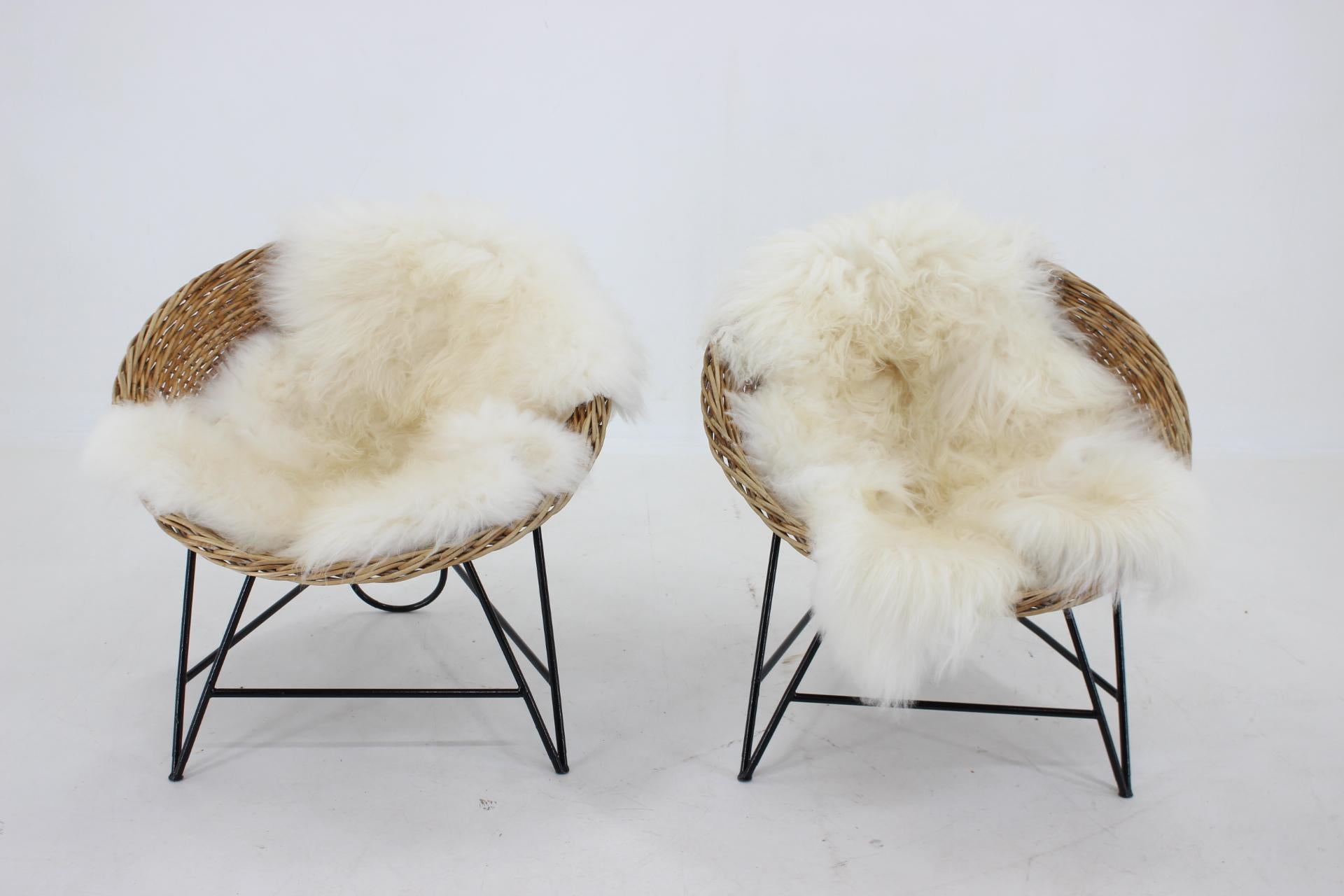 Mid-Century Modern 1960s Pair of Rattan Woven Basket Chair with Icelandic Sheepskin For Sale