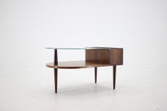 1960s Palisander Glass Coffee Table with Planter by CFC Silkeborg
