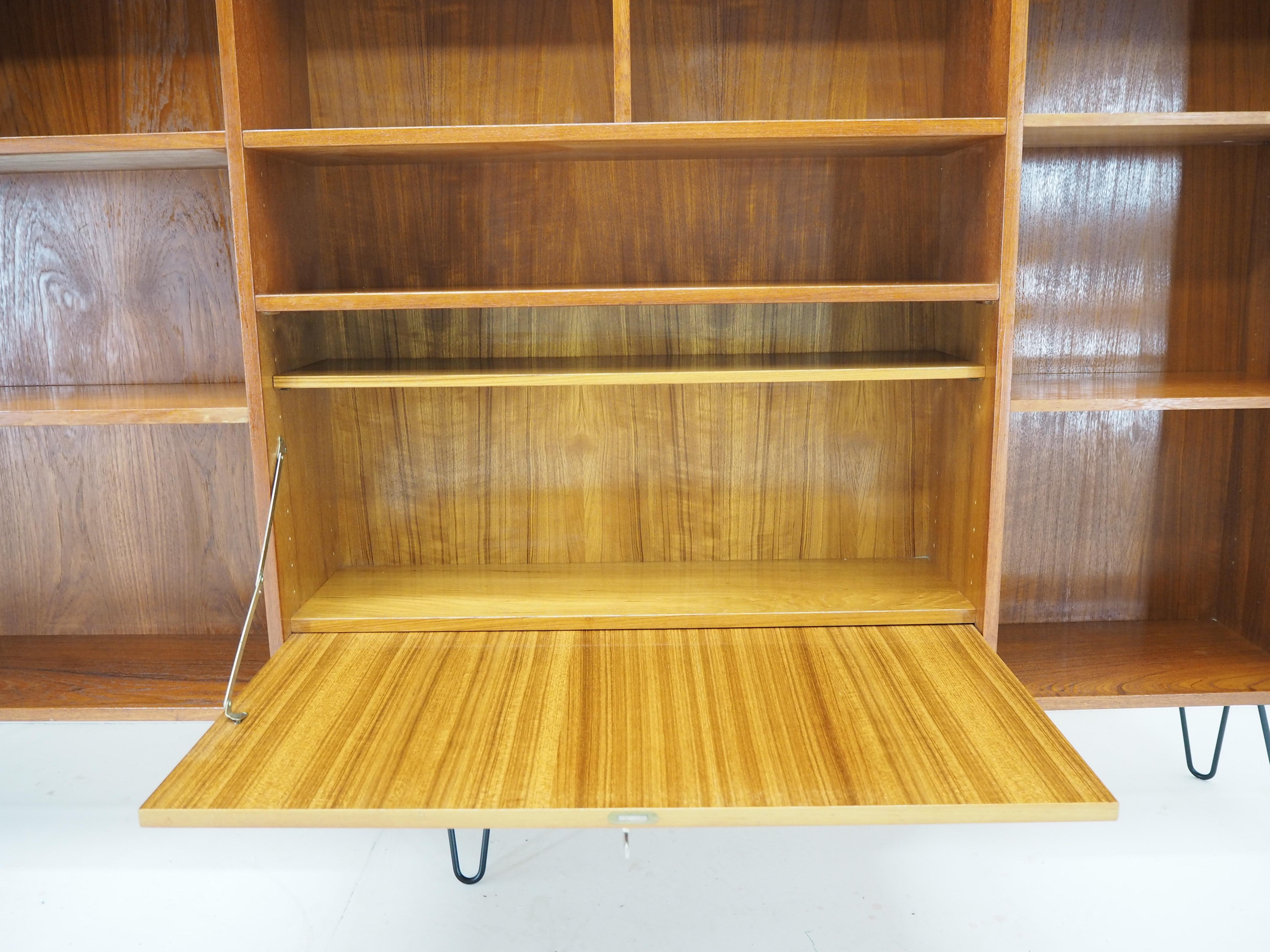 Iron 1960s Palisander Upcycled Bookcase Cabinet, Denmark