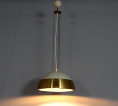1960s Pendant Light by Napako