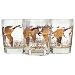 1960s Pheasant Glass Bar Tumblers, Set of 4