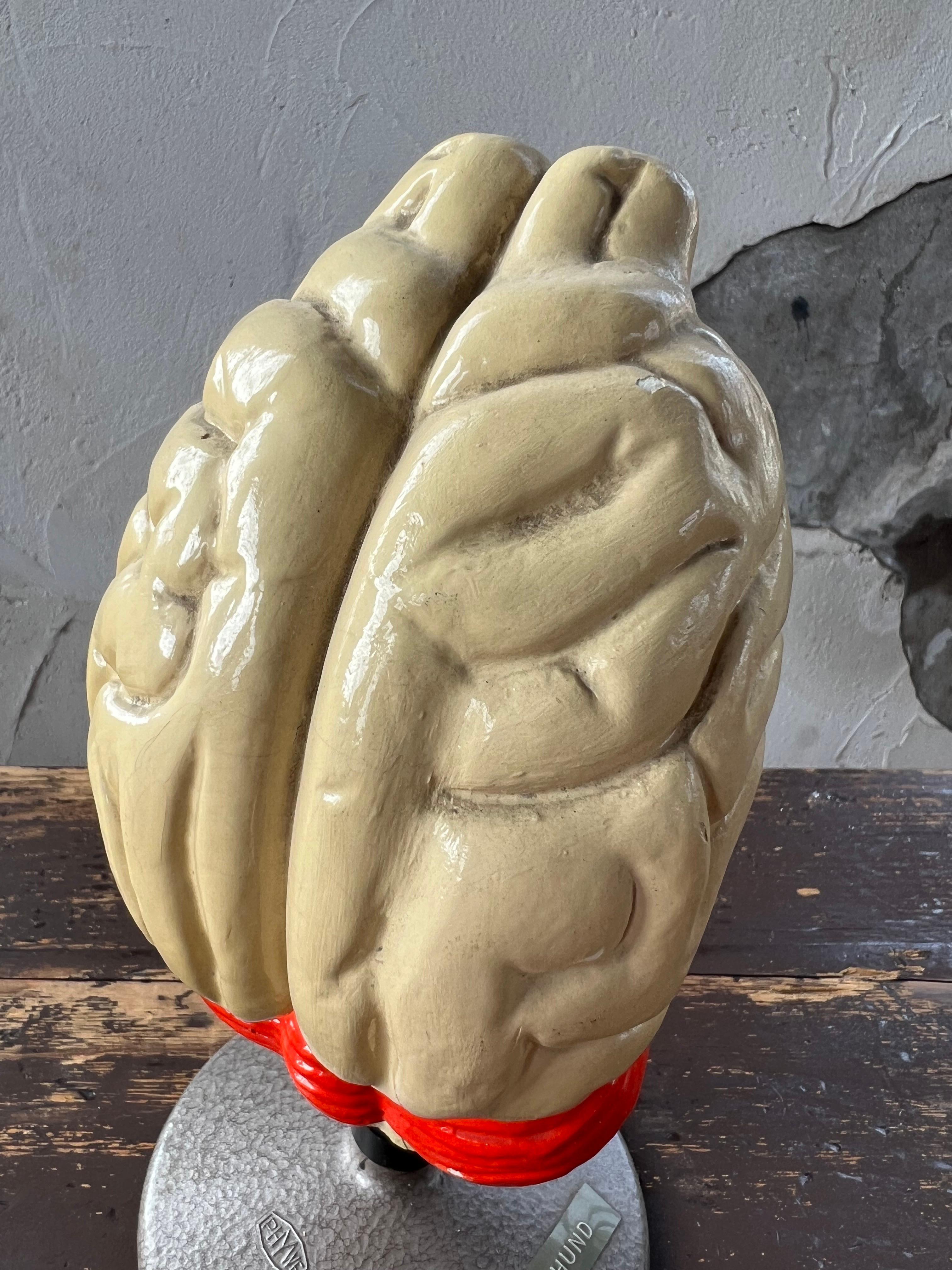 1960’s plaster anatomical model of dogs brain, Phywe Germany In Good Condition For Sale In Hoogeveen, NL