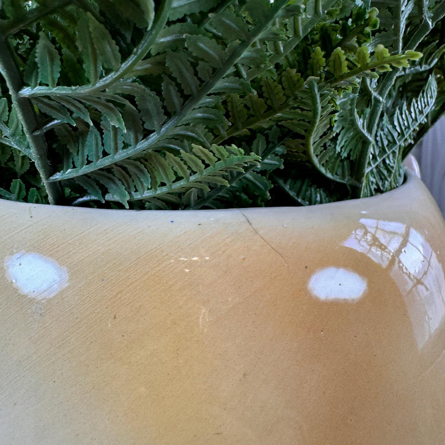 1960s Portuguese Lion Head Ceramic Planter 7