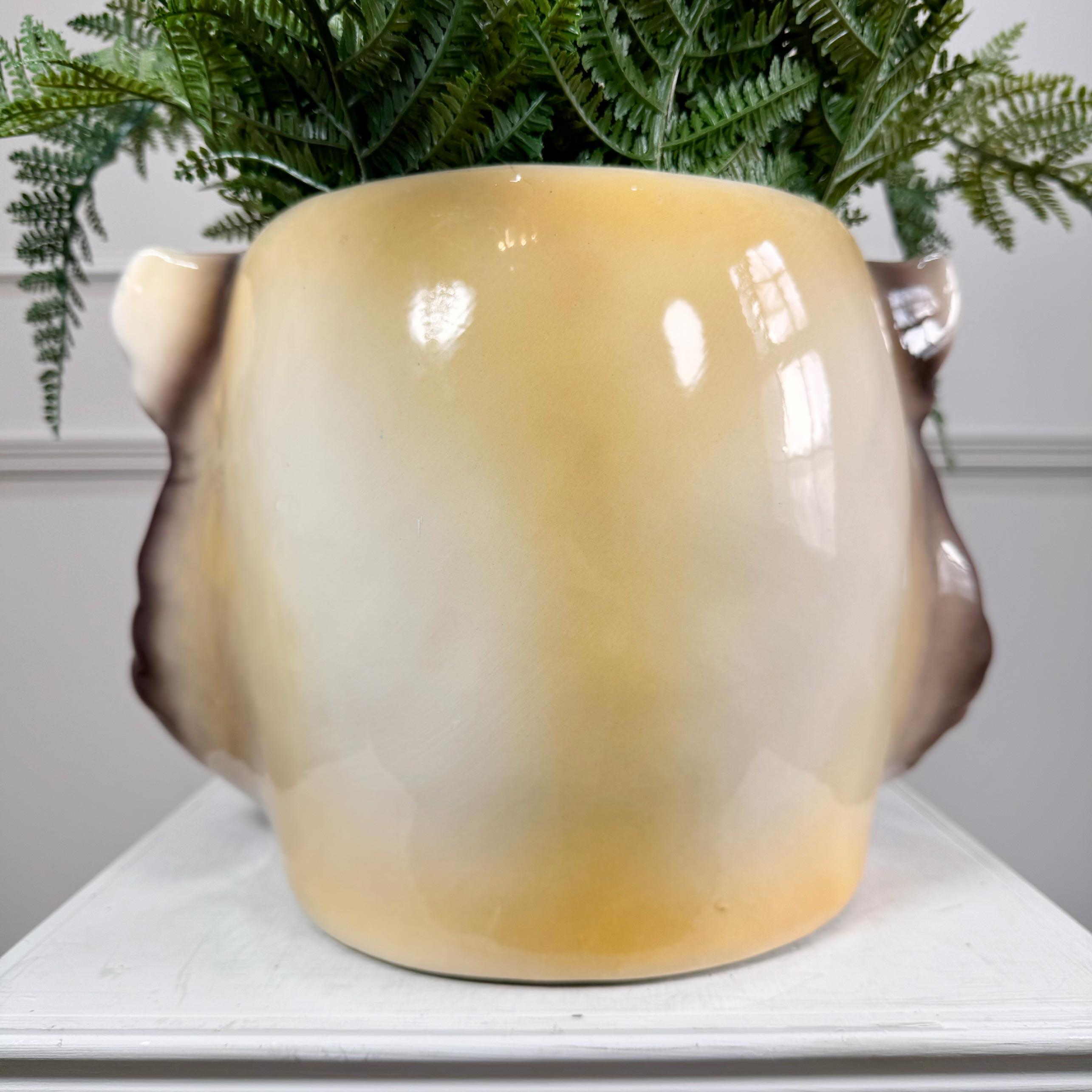 1960s Portuguese Lion Head Ceramic Planter 4