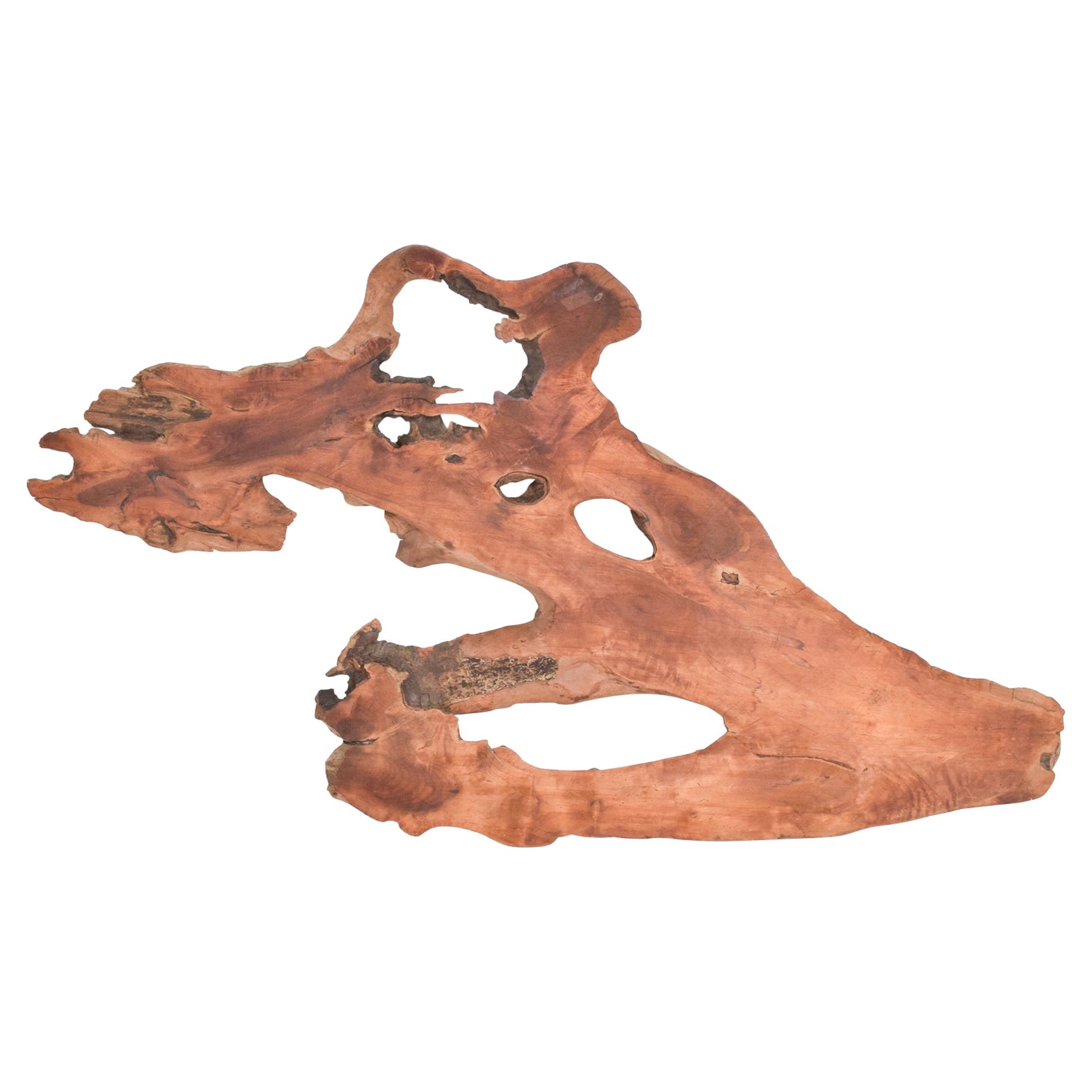 1960s Raw Edge Sculptural Slab Walnut Wood For Sale