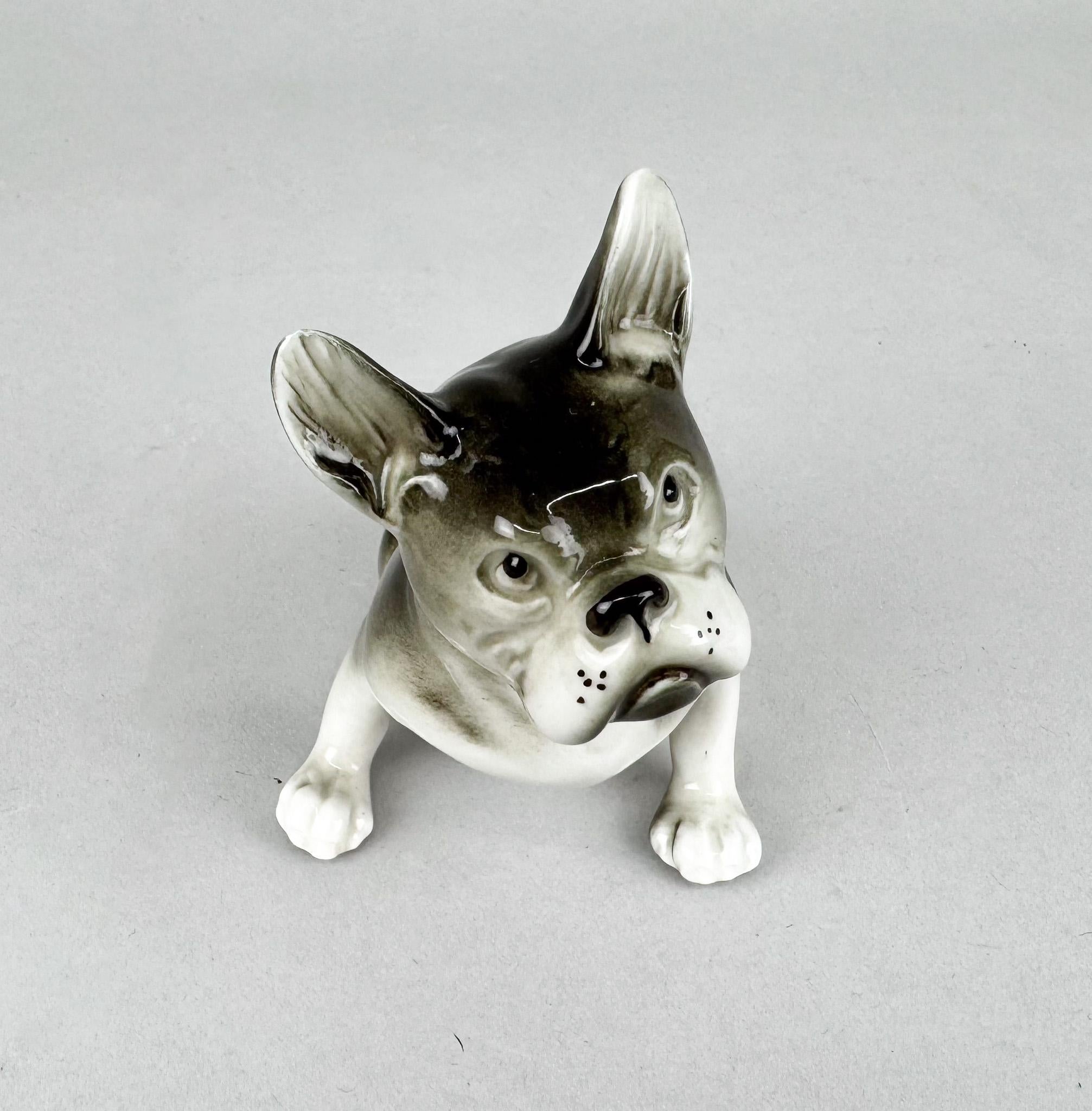 Mid-Century Modern 1960's Royal Dux Porcelain Statue of French Bulldog For Sale
