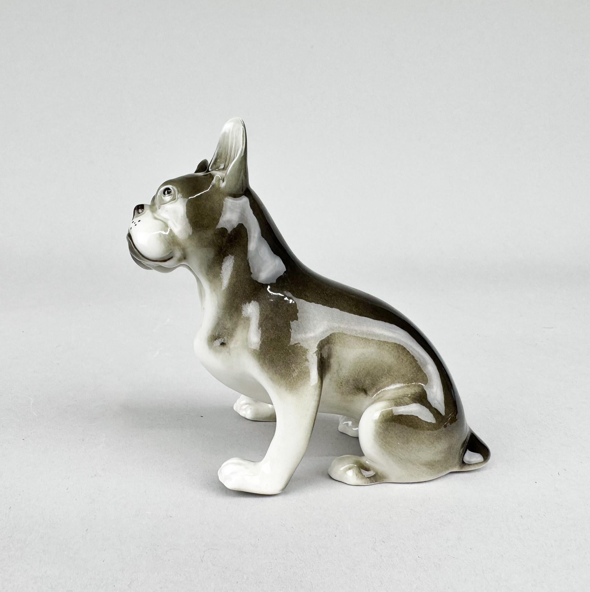 1960's Royal Dux Porcelain Statue of French Bulldog For Sale 1