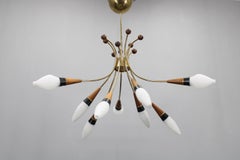 Lustre Rupert Nikoll des années 1960 en laiton et verre opalin teck, Autriche
