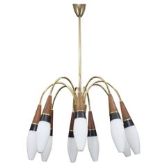 Lustre Rupert Nikoll des années 1960 en laiton et verre opalin teck, Autriche