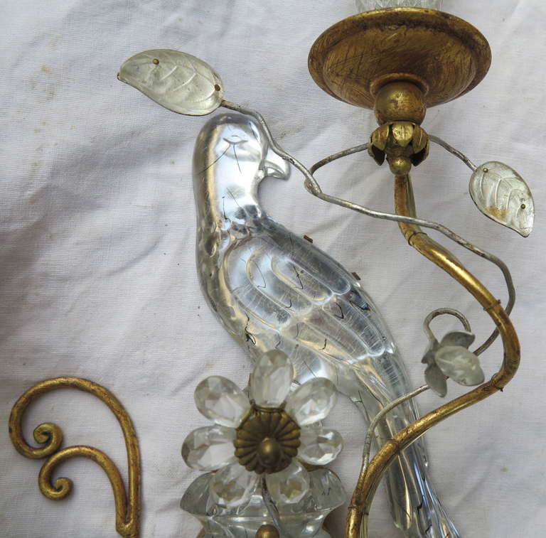 French 1960s Sconce Pair With Paraquet in the Style of Maison Baguès or Banci For Sale