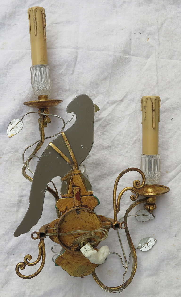 1960s Sconce Pair With Paraquet in the Style of Maison Baguès or Banci In Good Condition For Sale In Paris, FR