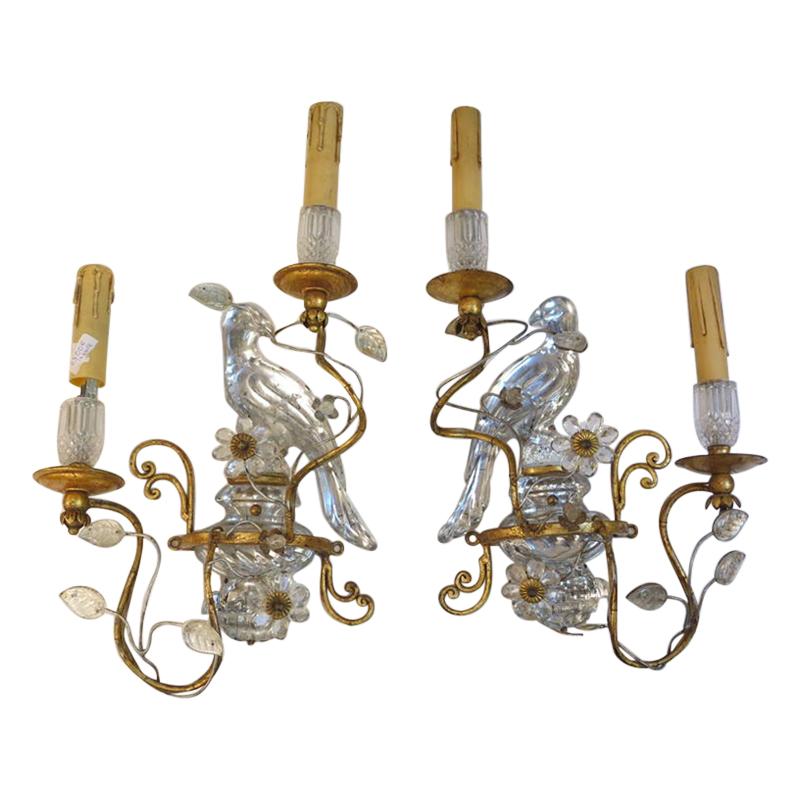 1960s Sconce Pair With Paraquet in the Style of Maison Baguès or Banci For Sale