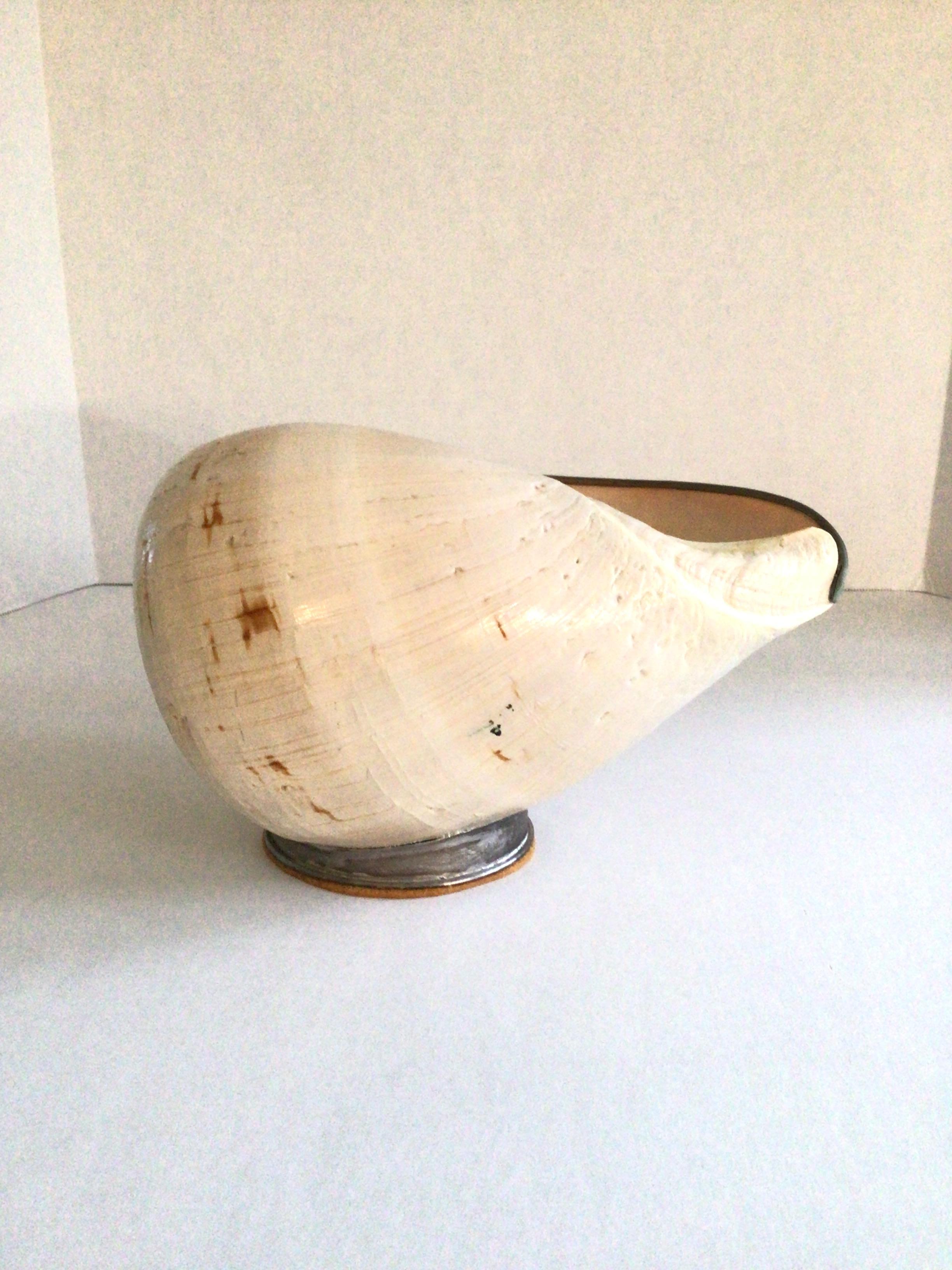 Questa scultura di conchiglia degli anni '60 presenta una conchiglia Baeler melone coronata. 
Il guscio del melone ha una caratteristica corona di spine che circonda l'apice del guscio.
Dettagli in metallo curvo sul bordo della conchiglia
Montato su
