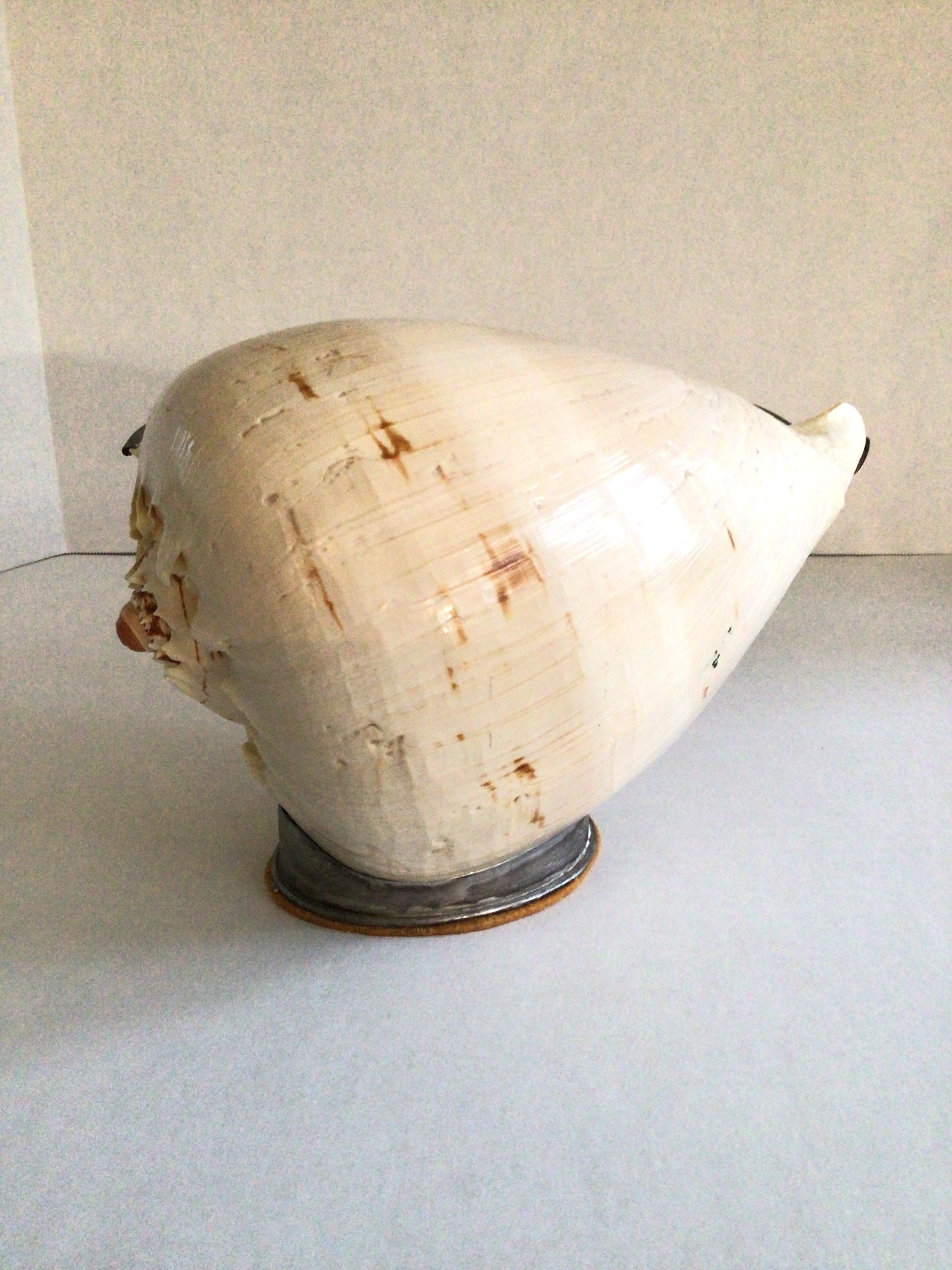 Placcato Scultura di conchiglia del 1960 su supporto in vendita