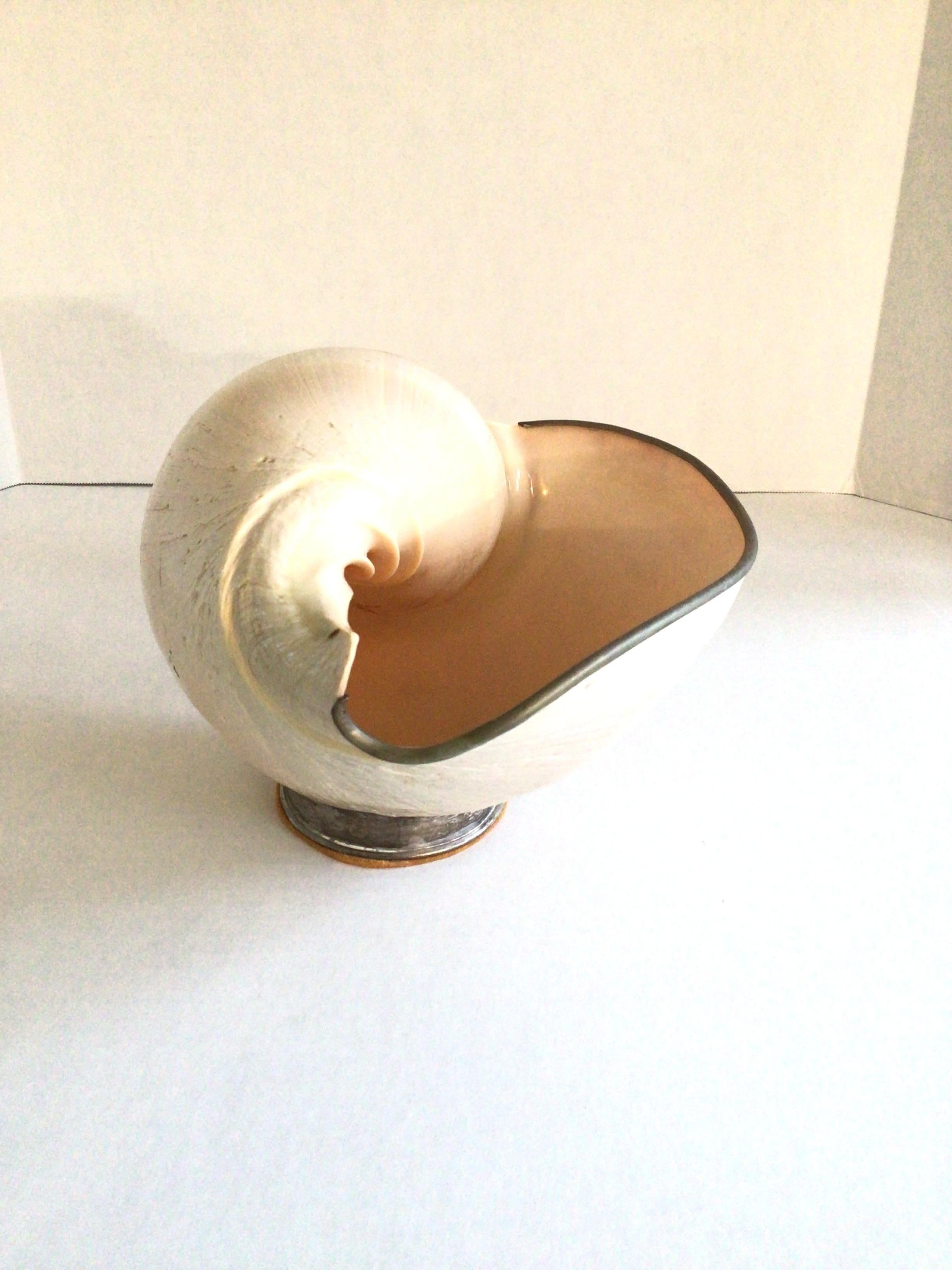 Placcato argento Scultura di conchiglia del 1960 su supporto in vendita