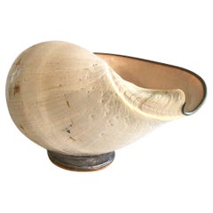 1960s Seashell Sculpture On Stand