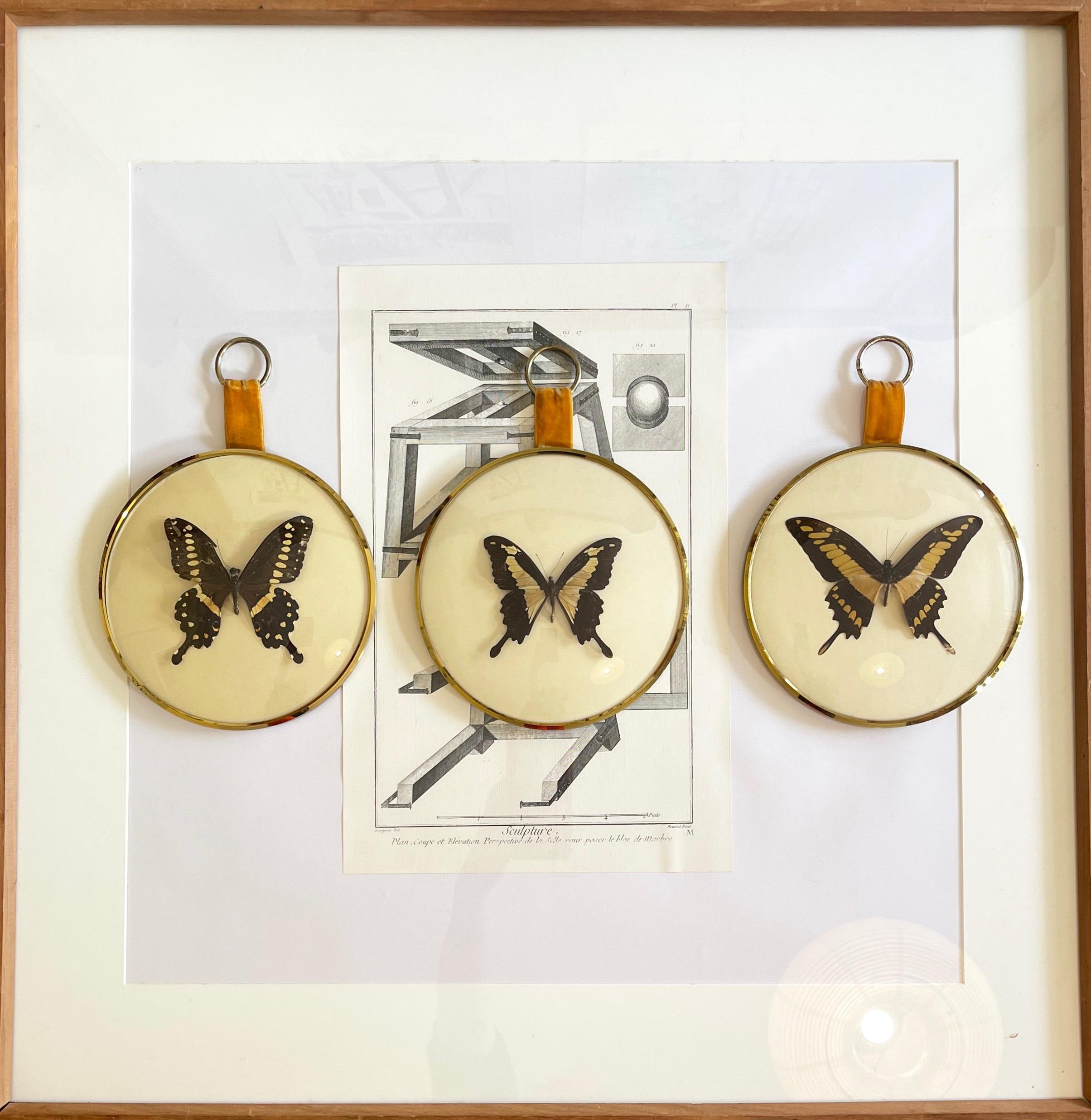 Mid-century German made round brass coloured frames with domed glass.
Beautifully presented large exotic butterflies mounted on a beige backdrop.

Each frame is held by a gold coloured velvet ribbon and a gold coloured metal ring.
Typical