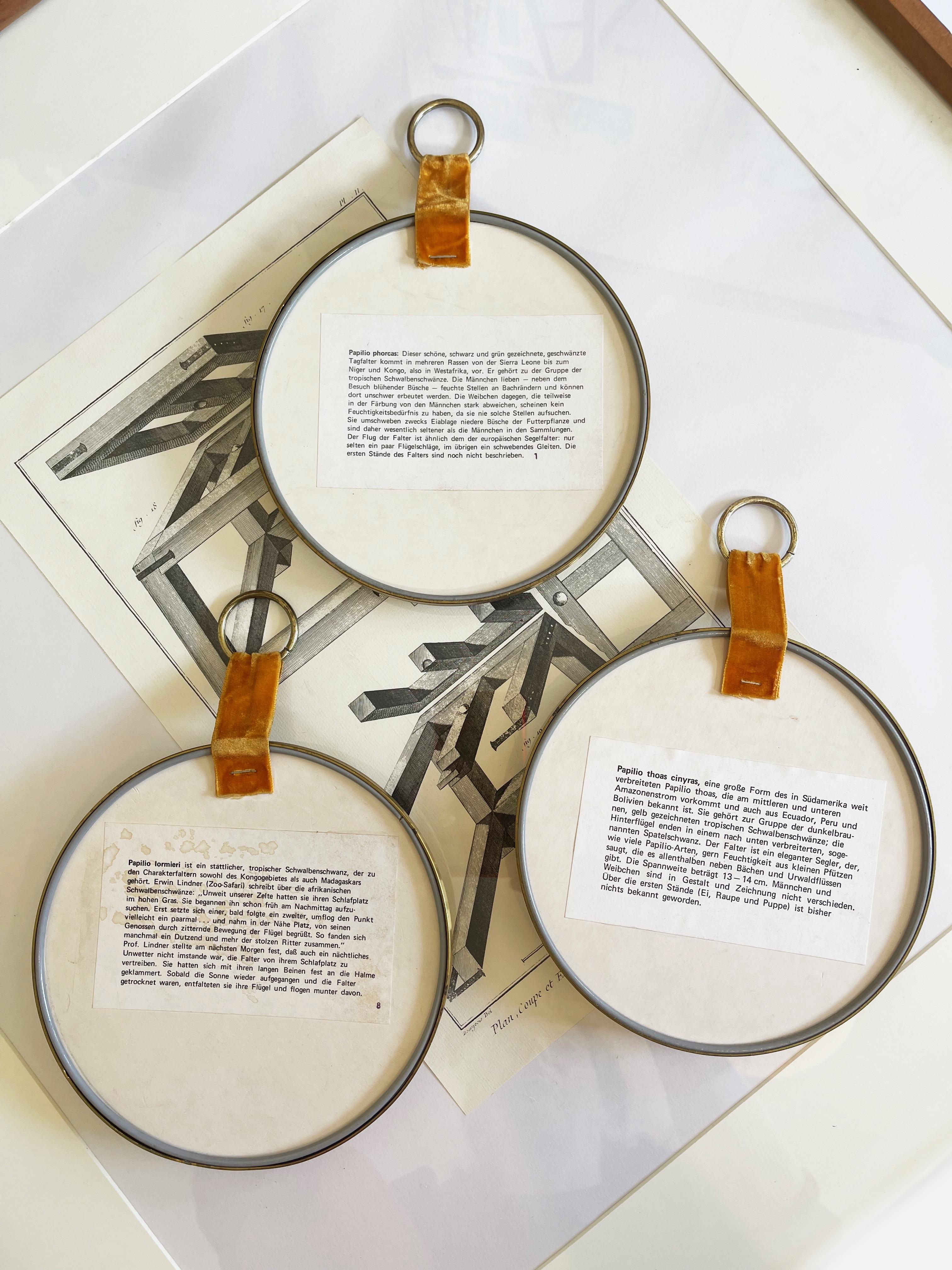1960s, Set of 3 Round Domed Glass Frames, Exotic Butterflies Taxidermi, Germany In Good Condition For Sale In Andernach, DE