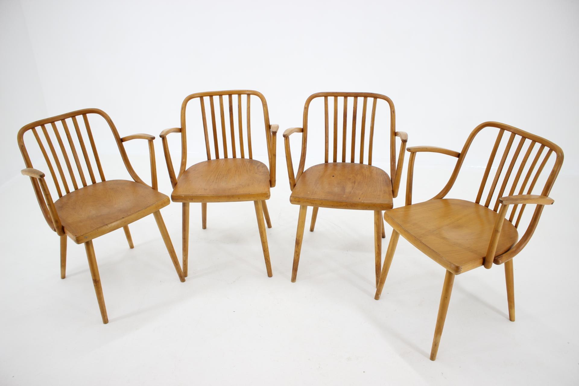 Wood 1960s Set of Four Antonin Suman Dining Chairs, Czechoslovakia